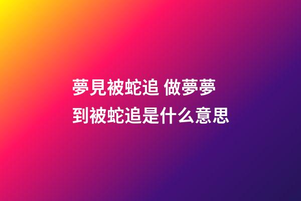 夢見被蛇追 做夢夢到被蛇追是什么意思